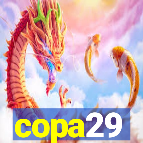 copa29