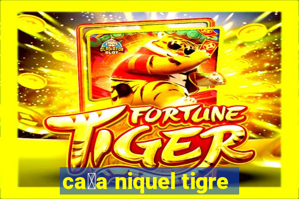 ca莽a niquel tigre