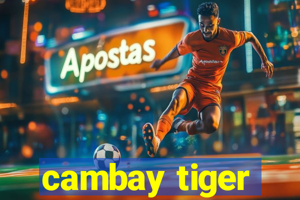 cambay tiger