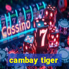 cambay tiger