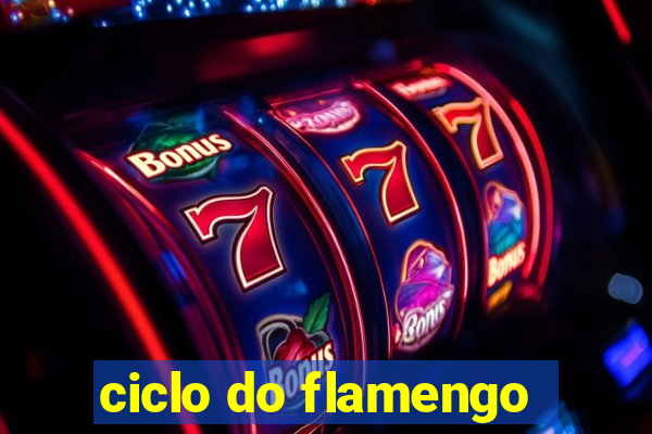 ciclo do flamengo