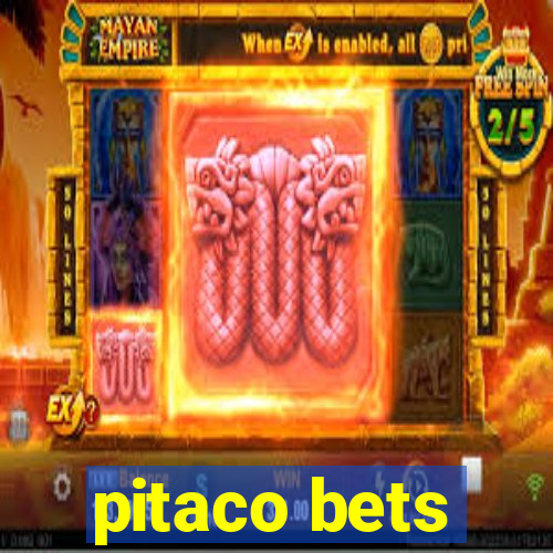 pitaco bets