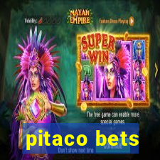 pitaco bets