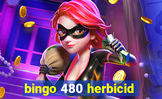 bingo 480 herbicid