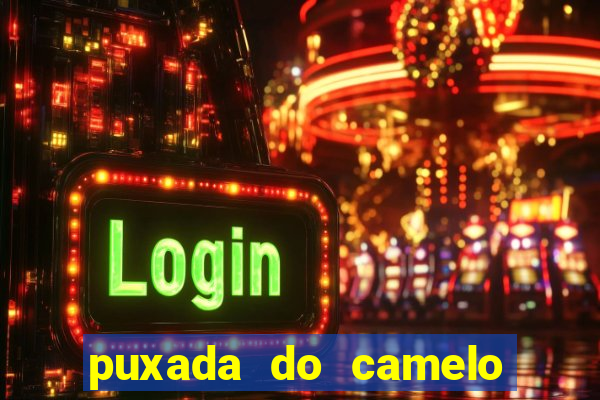 puxada do camelo jogo do bicho