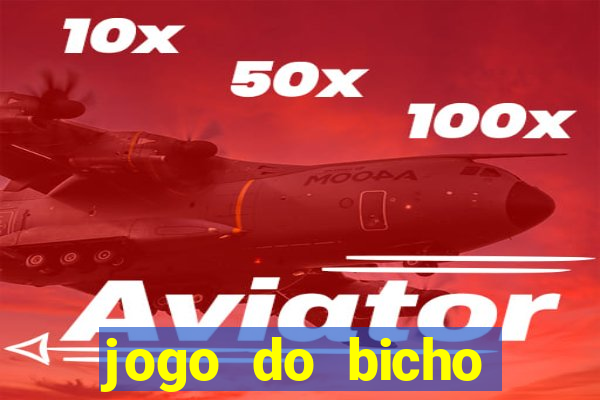 jogo do bicho online df