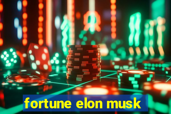 fortune elon musk