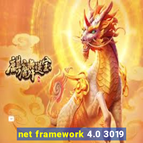 net framework 4.0 3019