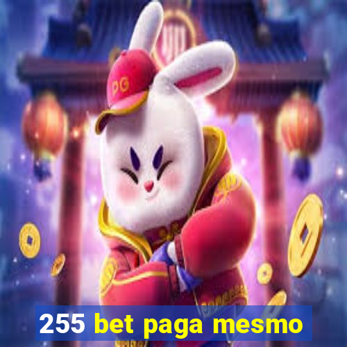 255 bet paga mesmo