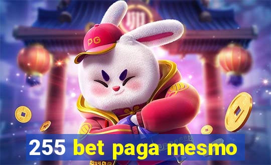 255 bet paga mesmo