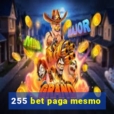 255 bet paga mesmo