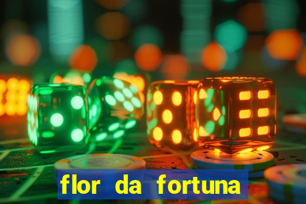 flor da fortuna como cuidar