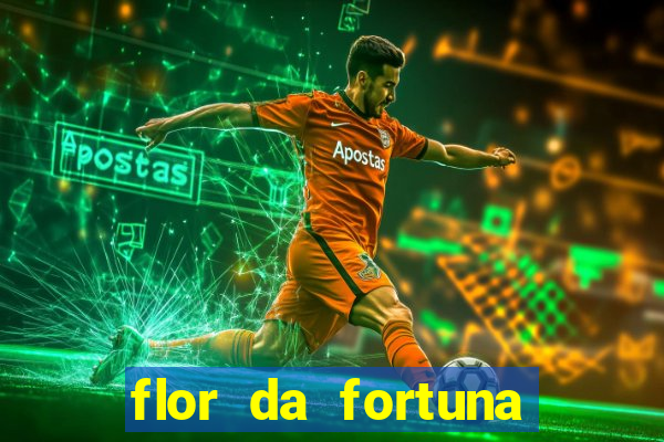 flor da fortuna como cuidar