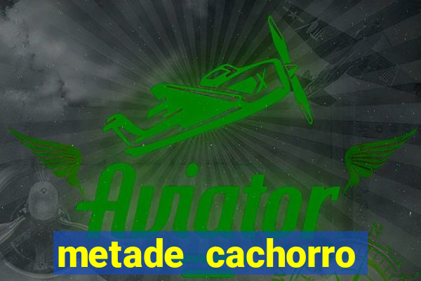 metade cachorro metade gato