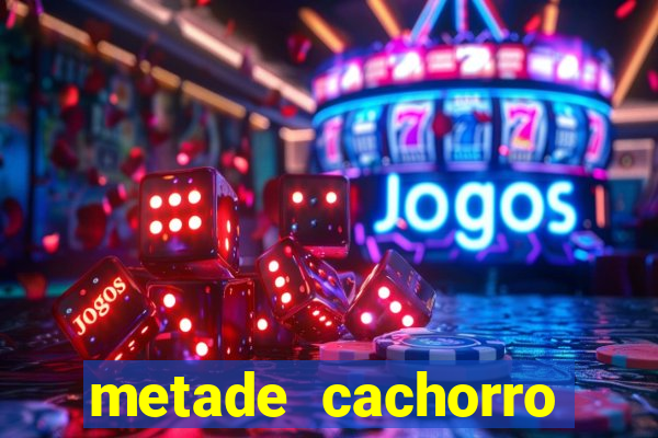 metade cachorro metade gato