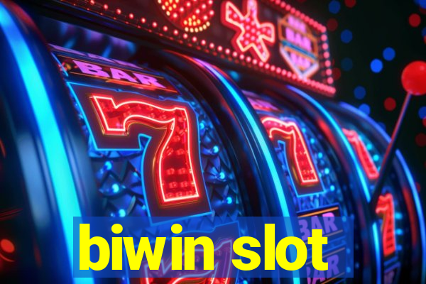 biwin slot