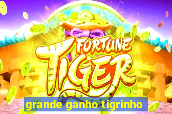 grande ganho tigrinho