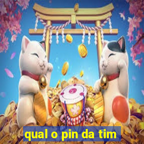 qual o pin da tim