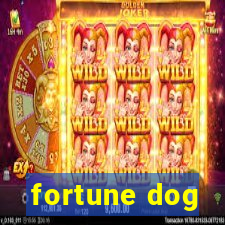 fortune dog